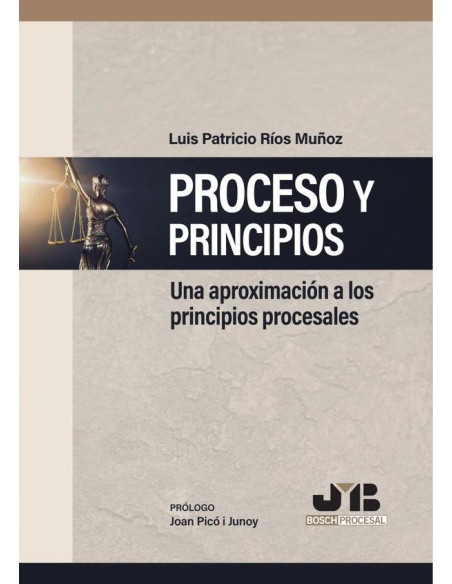 Proceso y Principios:Una aproximación a los principios procesales