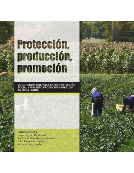 Protección, producción, promoción:Explorando sinergias entre protección social y fomento productivo en América Latina