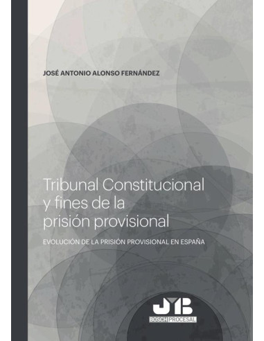 Tribunal Constitucional y fines de la prisión provisional.:Evolución de prisión provisional en España.