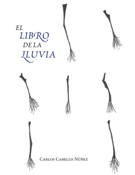 El libro de la lluvia