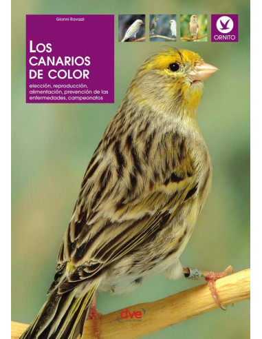 Los canarios de color