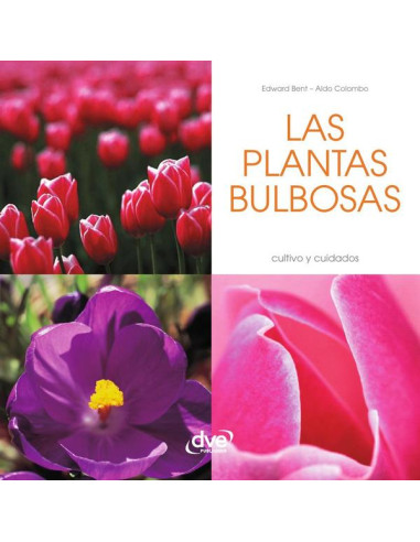 Las plantas bulbosas