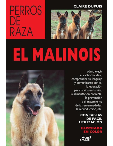 El Malinois