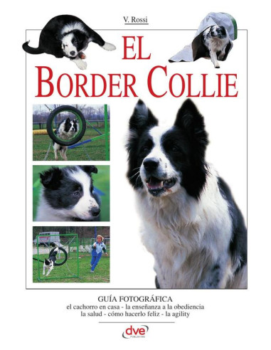 El border collie