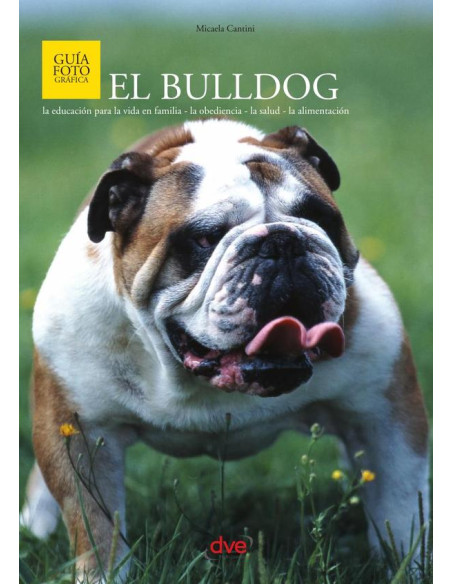 El bulldog