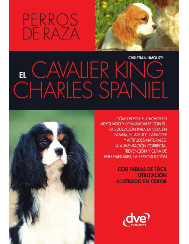 El cavalier king charles spaniel