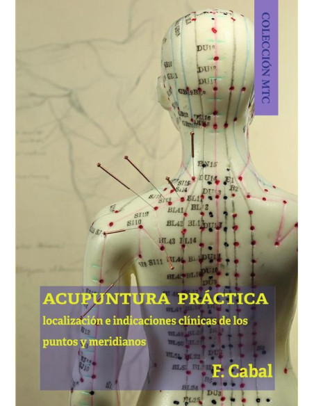 Acupuntura práctica