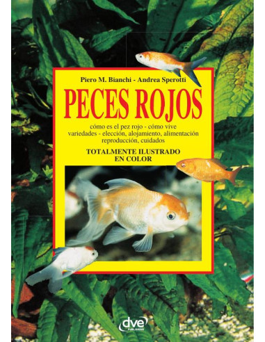 Peces rojos 