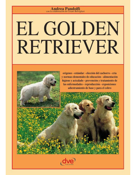 El Golden retriever