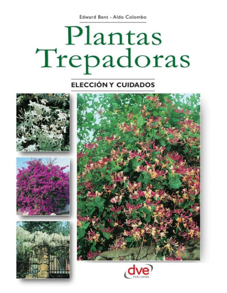 Las plantas trepadoras 