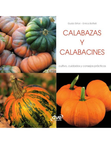 Calabazas y calabacines 