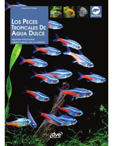 Los peces tropicales de agua dulce