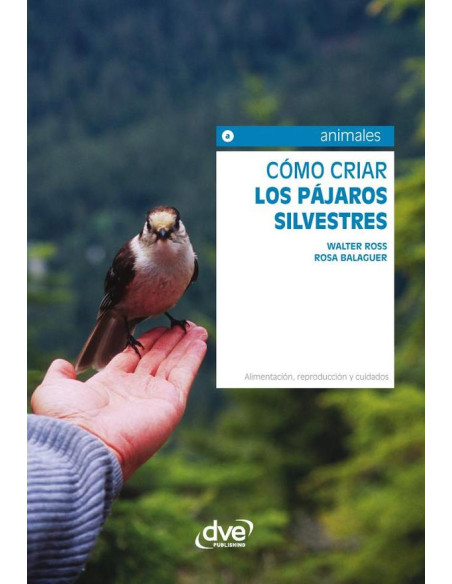 Cómo criar los pájaros silvestres 