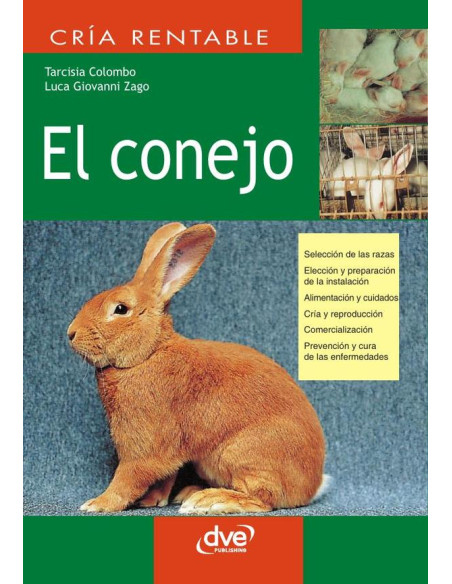 El conejo