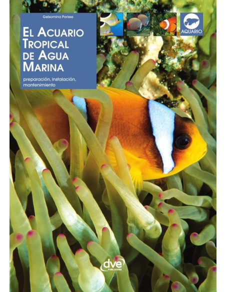 El acuario tropical de agua
marina 