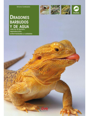 Dragones barbudos y de agua 