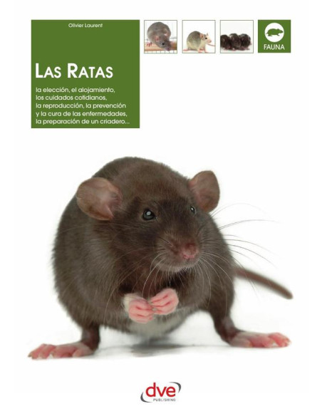 Las ratas