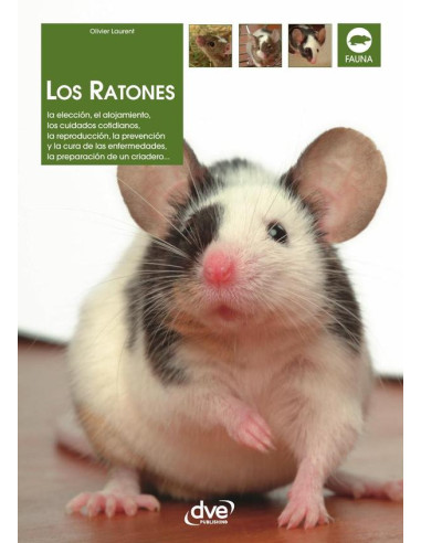 Los ratones