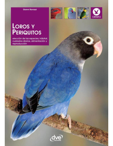 Loros y periquitos