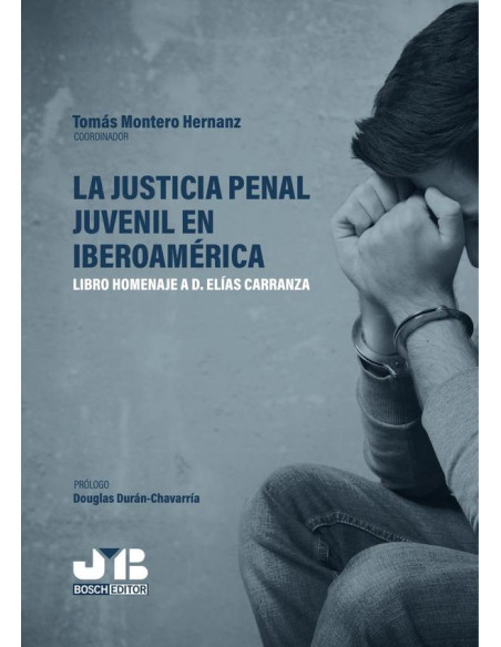 La justicia penal juvenil en Iberoamérica:Libro homenaje a D. Elías Carranza