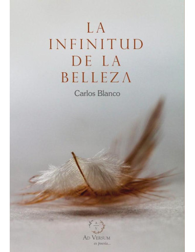 La infinitud de la belleza