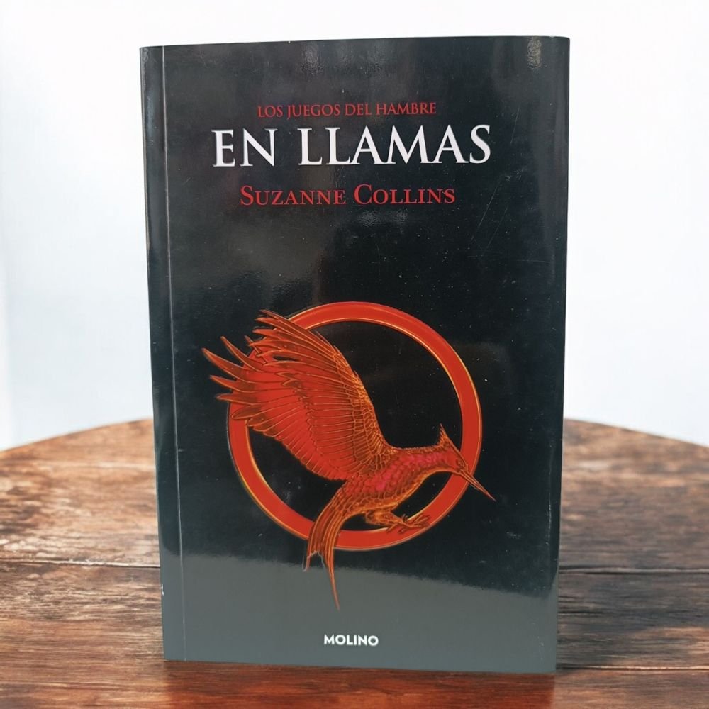 En llamas - Image 2