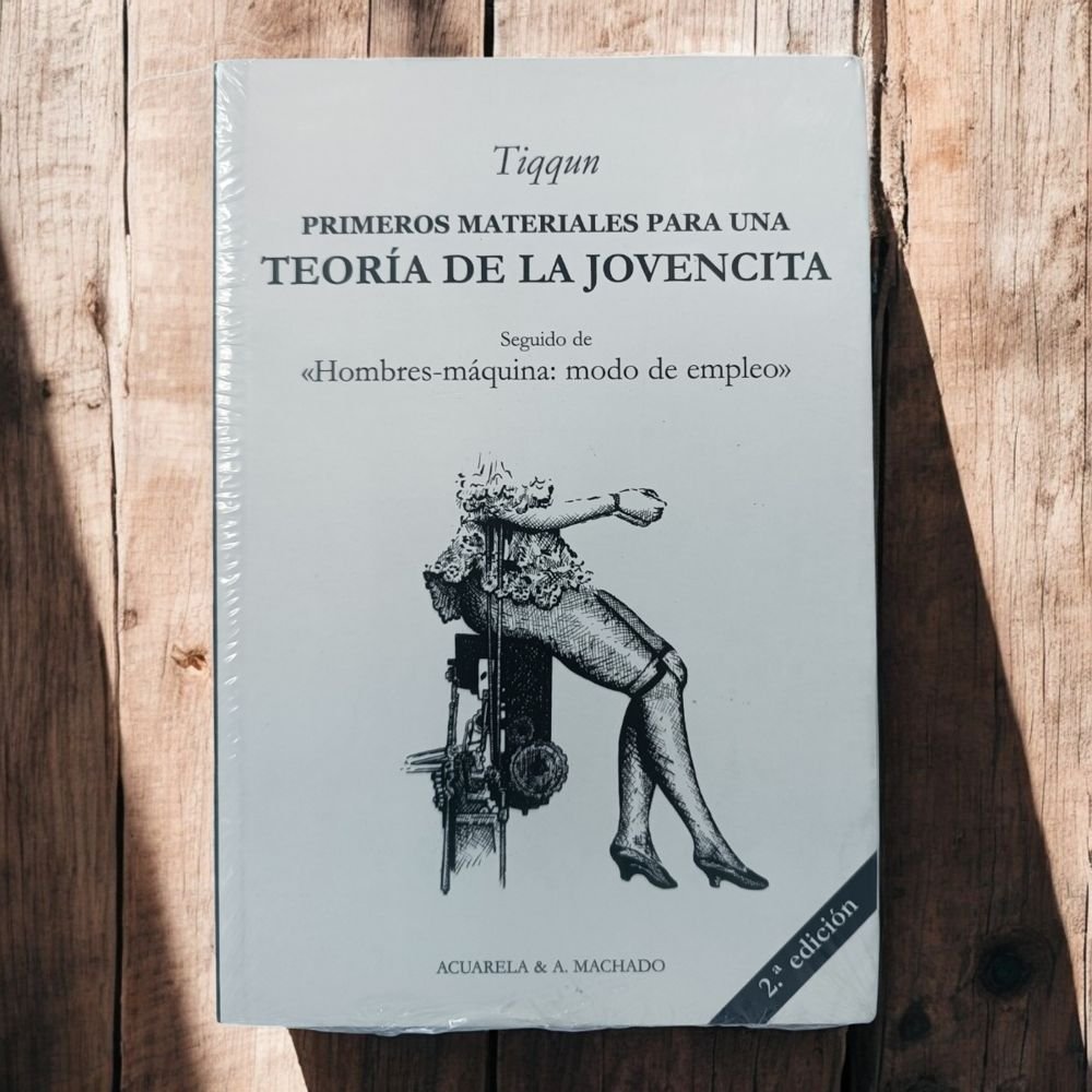 Primeros materiales para una teoría de la Jovencita - Image 2