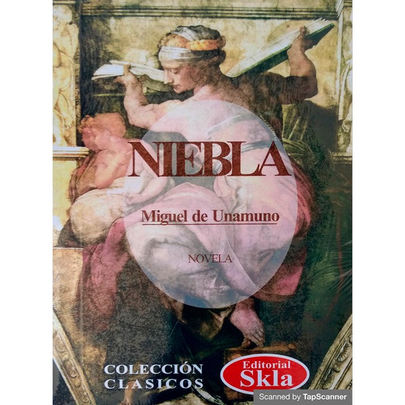 Niebla