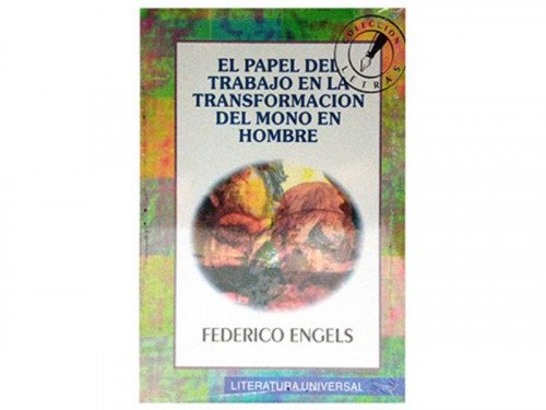 El Papel del Trabajo