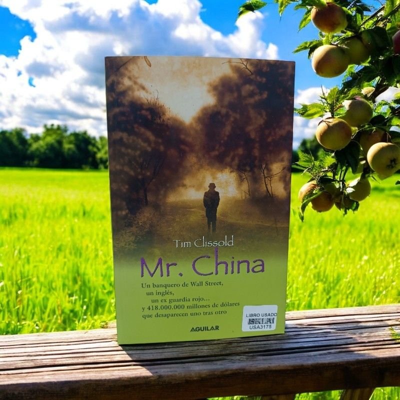 Mr. China - Image 2