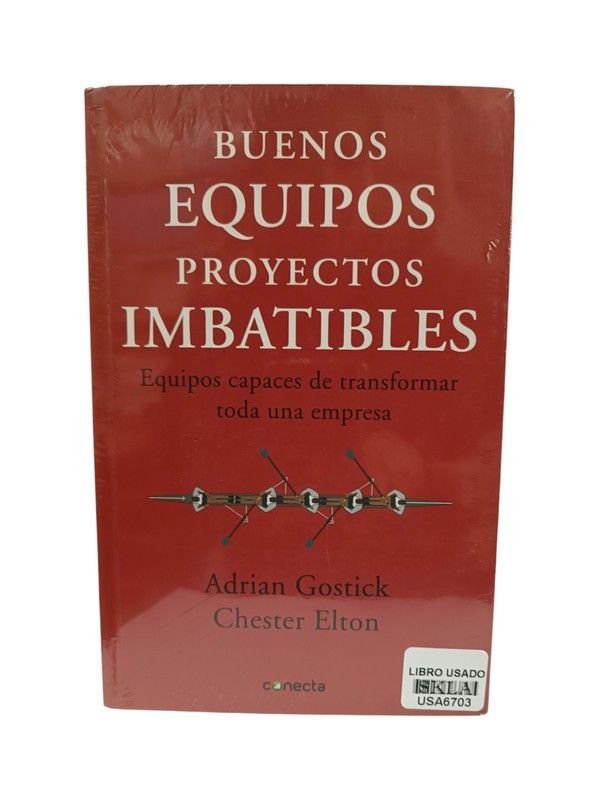 Buenos equipos, proyectos imbatibles