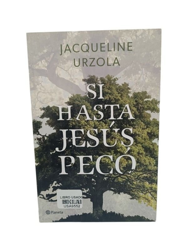 Si hasta Jesús pecó