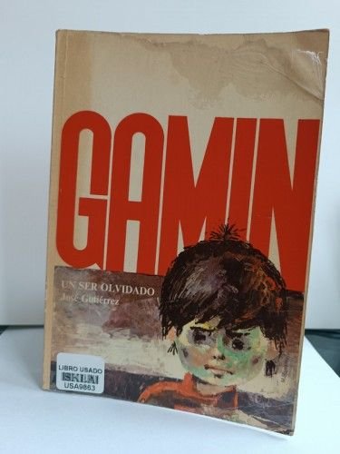 Gamín, un ser olvidado